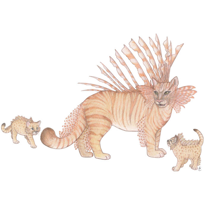 Hybrid of Red Lionfish and Florida Panther. Colored pencil drawing features a mother and two cubs.