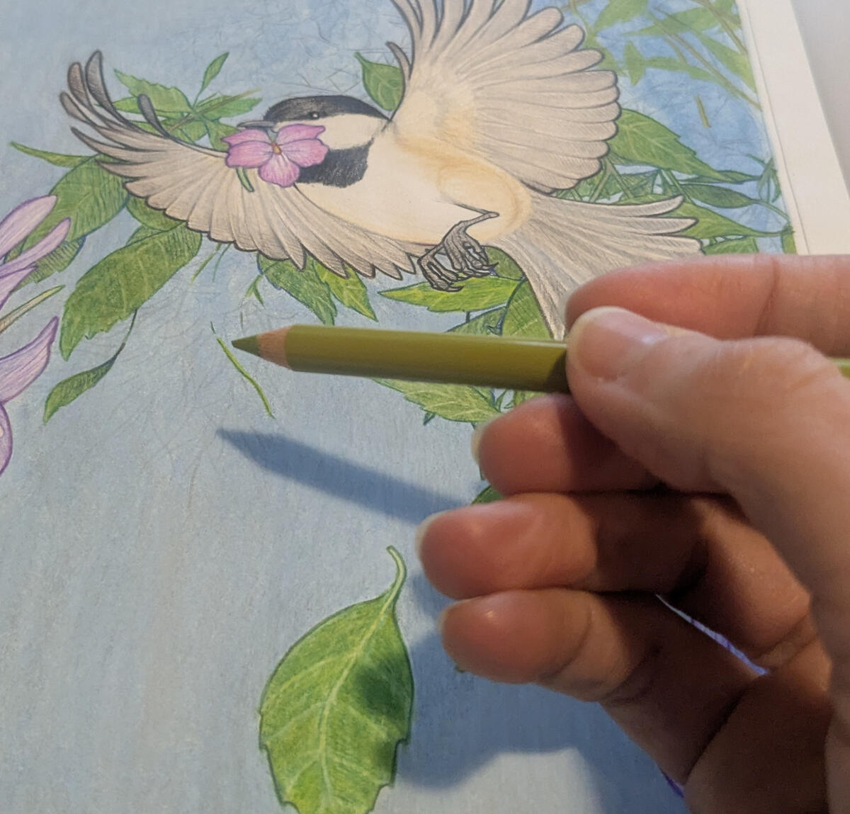 Photo of artist hand drawing with art pencils.